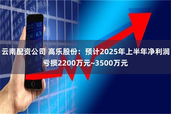 云南配资公司 高乐股份：预计2025年上半年净利润亏损2200万元~3500万元