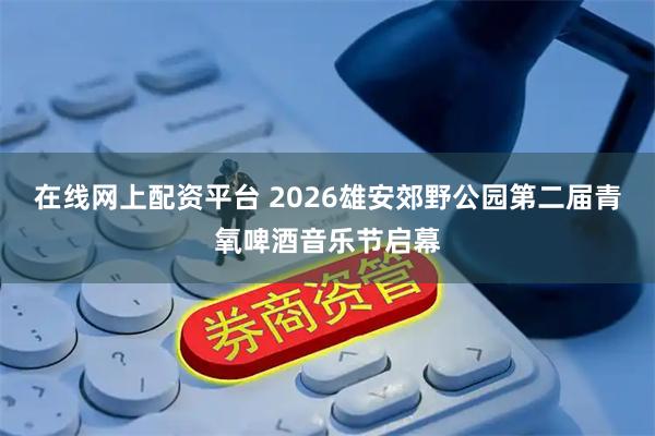 在线网上配资平台 2026雄安郊野公园第二届青氧啤酒音乐节启幕